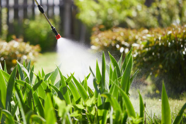 Tamper-Resistant Bait Stations for Rodents in Commerce