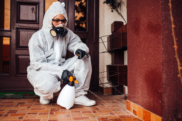 Attic and Crawl Space Rodent Treatment in Commerce